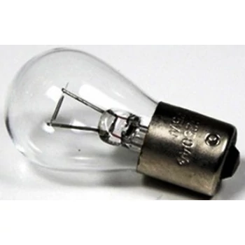 izzo-12v-25watt.jpg