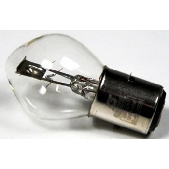 izzo-12v-4540watt-ba20d.jpg