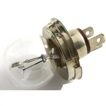 izzo-6v-4540watt-p45t.jpg